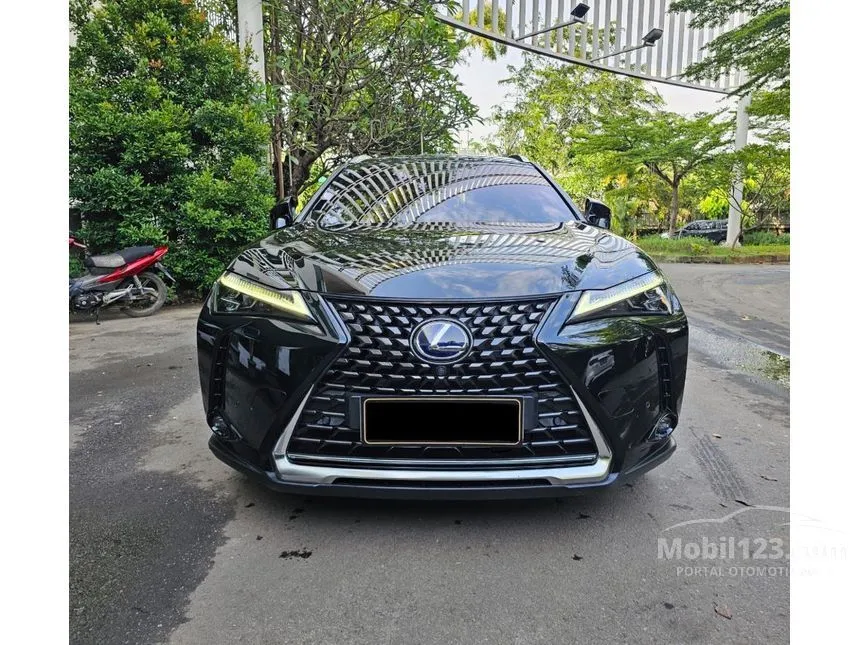 2021 Lexus UX 300e SUV