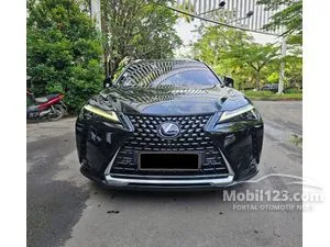 2021 Lexus UX 300e SUV