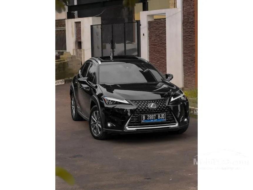 2022 Lexus UX 300e SUV