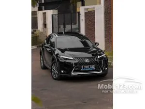 2022 Lexus UX 300e SUV