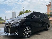 ALPHARD 2.5 X ATPM 2018 BLACK ON BEIGE TDP 225JT
