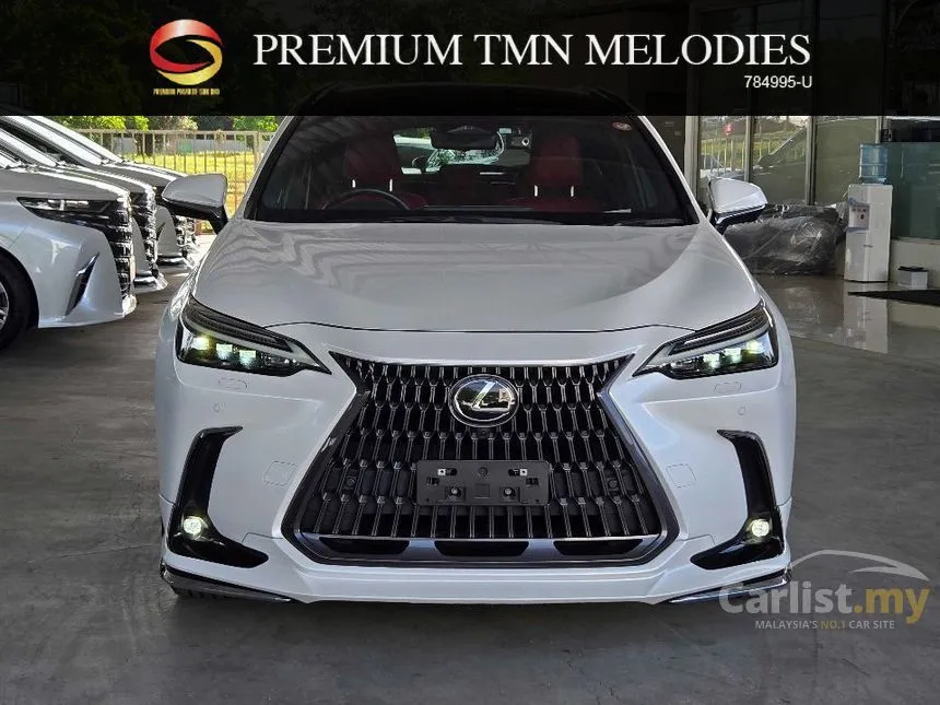 2023 Lexus NX 250 Luxury SUV