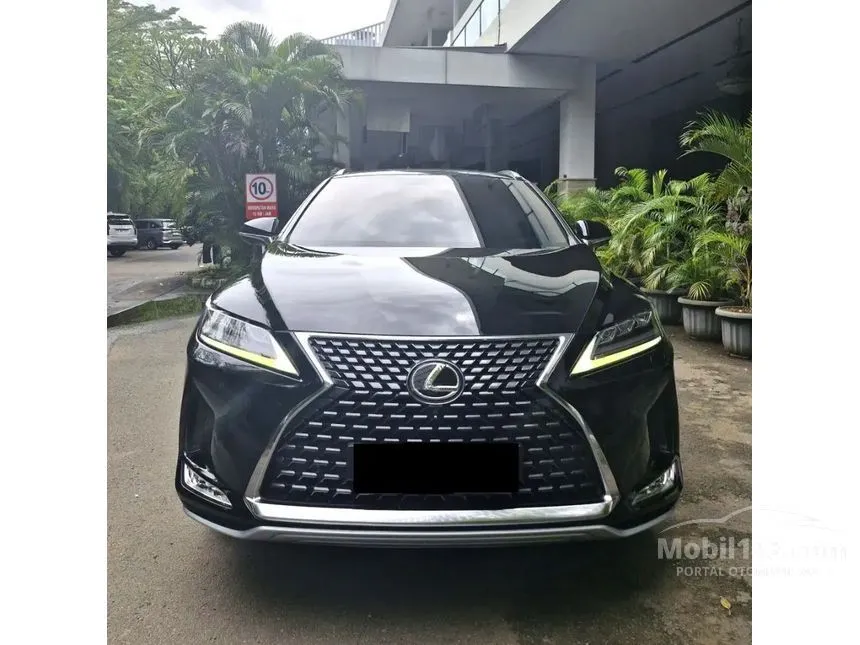 2020 Lexus RX 300 Luxury SUV