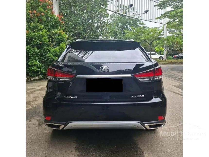 2020 Lexus RX 300 Luxury SUV