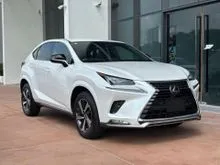 2020 Lexus NX 300 2.0 Spice & Chic HUD 360 5A Low Mileage