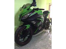 2014 Kawasaki Ninja 250 Others