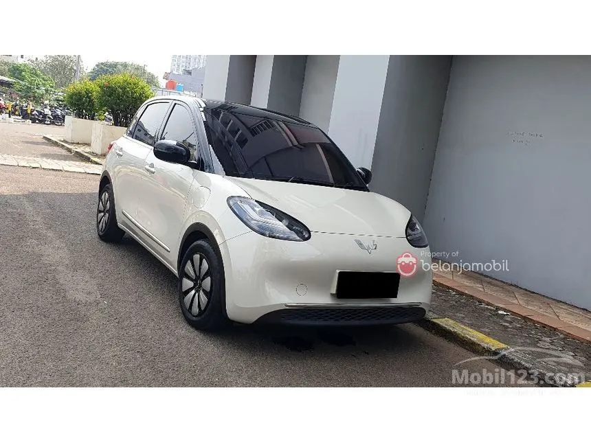 2024 Wuling Binguo EV 410 Premium Range AC/DC Hatchback