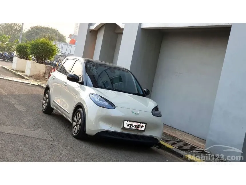 2024 Wuling Binguo EV 410 Premium Range AC/DC Hatchback