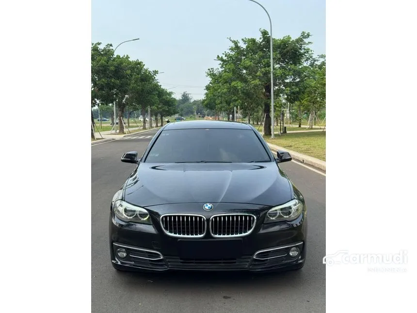 2015 BMW 520i Luxury Sedan