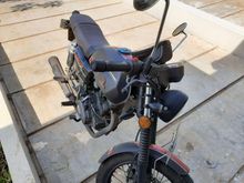 2020 Benelli Motobi 152 caferacer