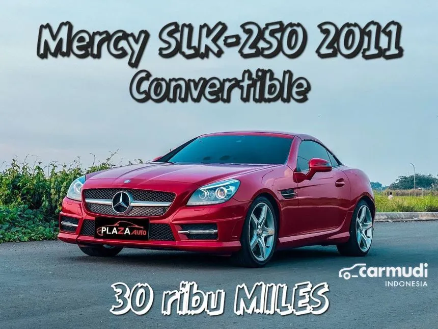 2011 Mercedes-Benz SLK250 AMG Convertible