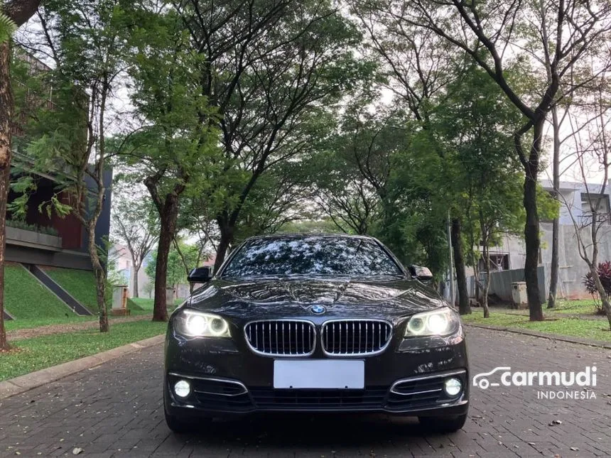 2015 BMW 520i Luxury Sedan