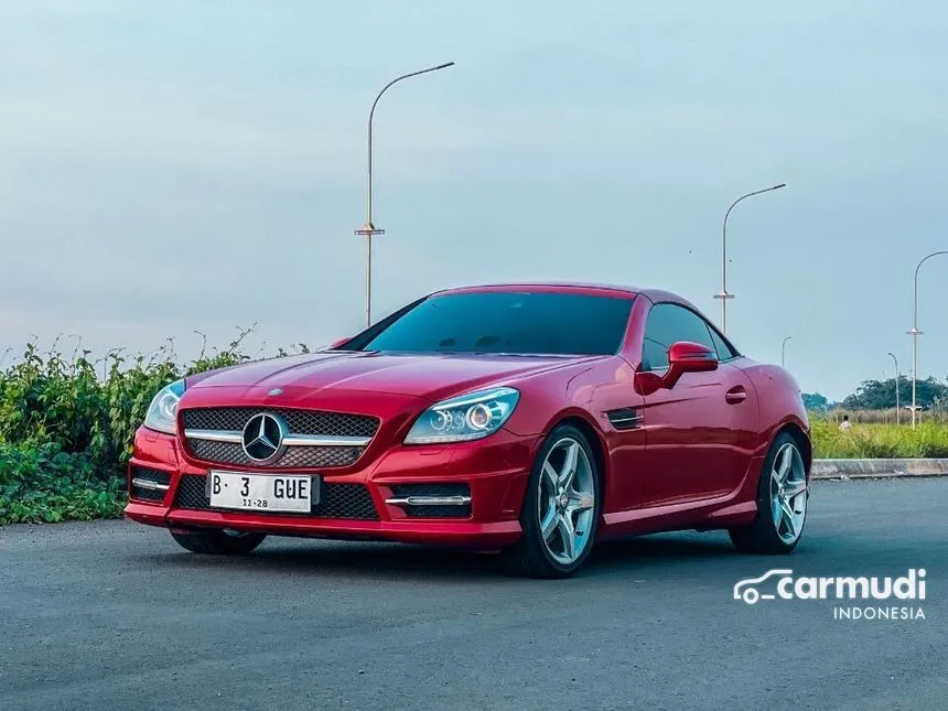 2011 Mercedes-Benz SLK250 AMG Convertible