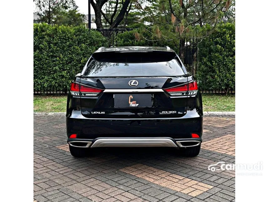 2020 Lexus RX 300 Luxury SUV