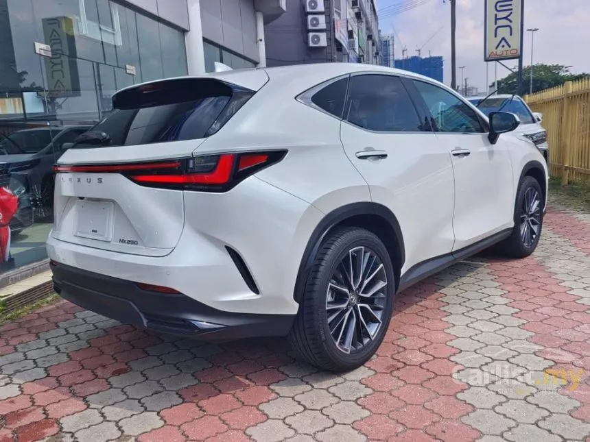 2023 Lexus NX250 Luxury SUV