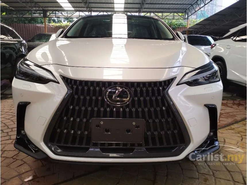 2023 Lexus NX250 Luxury SUV