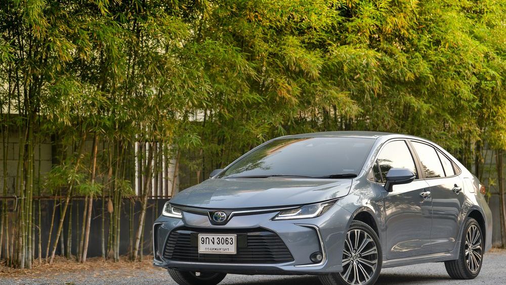 Toyota corolla store hybrid 2020