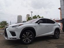 TDP225JT LEXUS NX300T 2018 F SPORT WHITE ON BLACK ATPM KM 1.000 SUPER ANTIK
