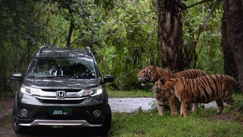 Test Drive Honda BR-V 2017