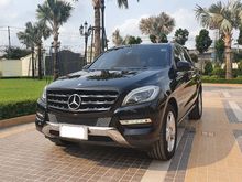 2014 Mercedes-Benz ML250 CDI BlueEFFICIENCY 2.1 W166 (ปี 12-16) SUV AT