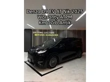 2025 Denza D9 0.0 Advanced MPV
