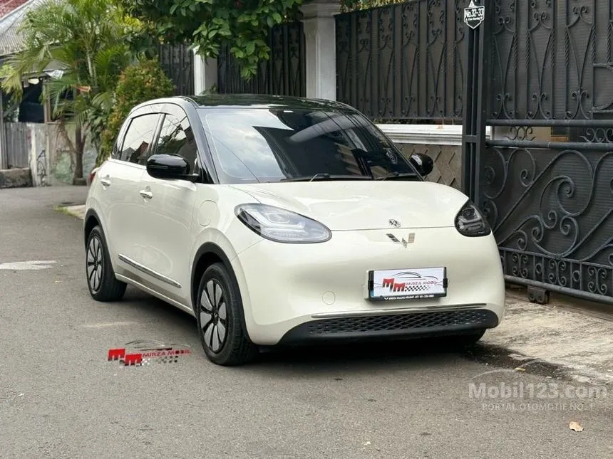 2024 Wuling Binguo EV 410 Premium Range AC/DC Hatchback