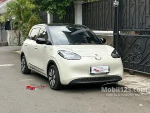 2024 Wuling Binguo EV 410 Premium Range AC/DC Hatchback
