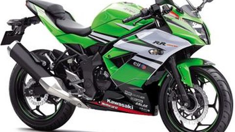 Kawasaki Ninja RR Mono ABS dengan Livery WSBK Bikin Gregetan