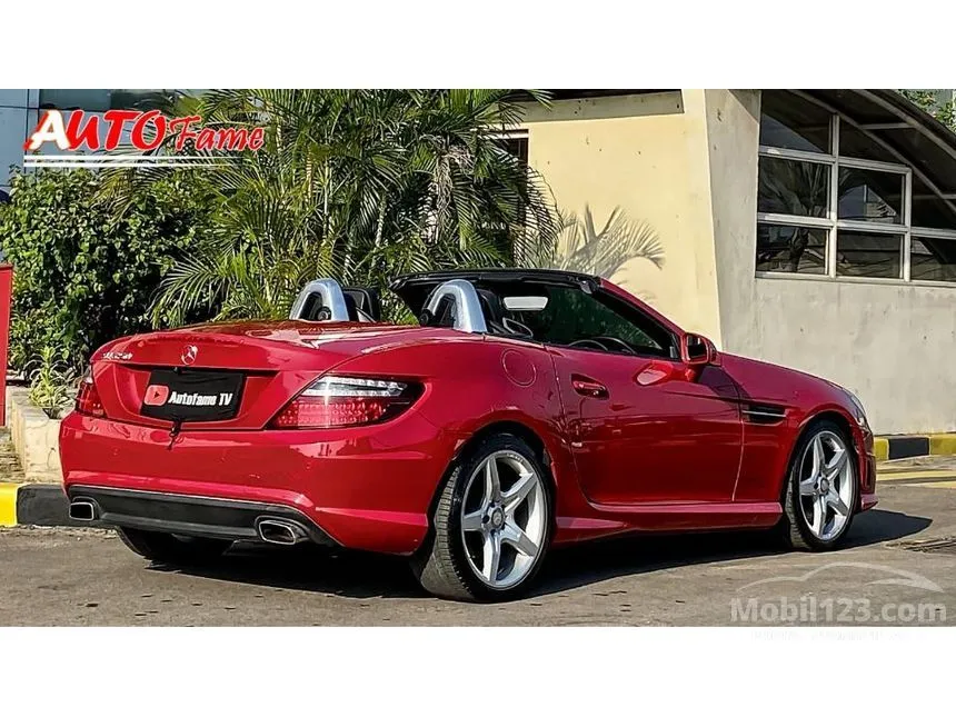 2013 Mercedes-Benz SLK250 AMG Convertible