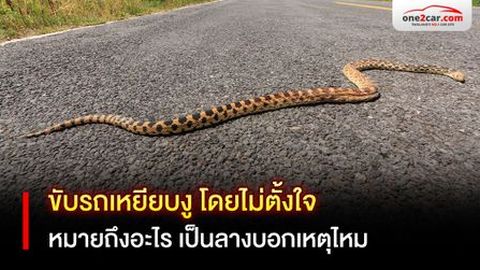 ขับรถเหยียบงู โดยไม่ตั้งใจ หมายถึงอะไร เป็นลางบอกเหตุไหม