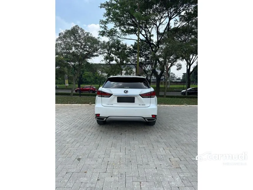 2021 Lexus RX 300 Luxury SUV