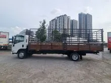2017 Isuzu Elf 4.8 NPR81UKH Lorry