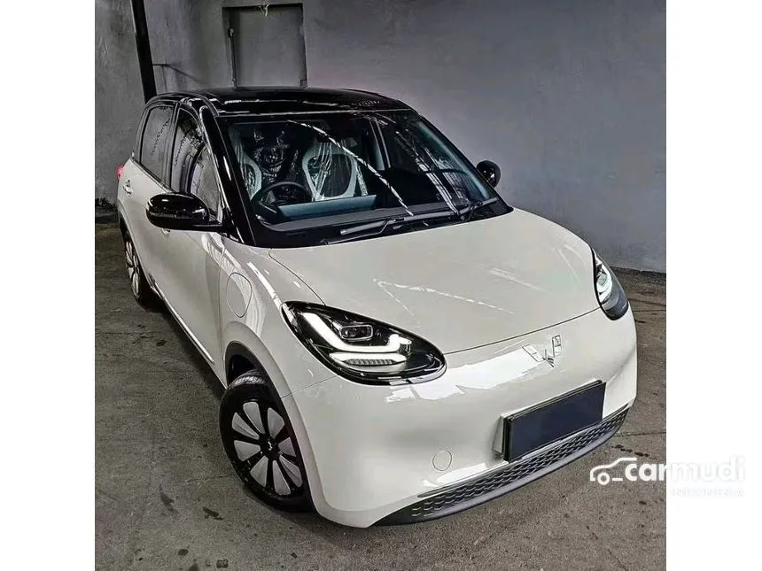 2024 Wuling Binguo EV 333 Long Range AC/DC Hatchback