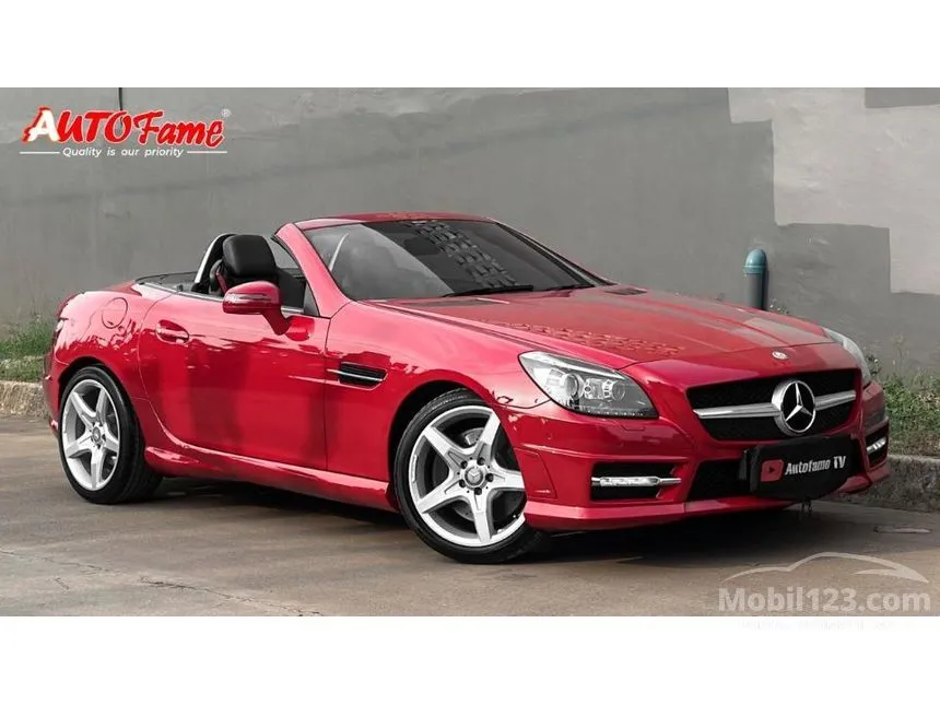 2013 Mercedes-Benz SLK250 AMG Convertible