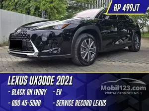 2021 Lexus UX 300e SUV