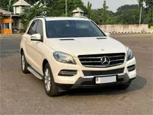 2013 Mercedes-Benz ML250 2.1 CDI SUV