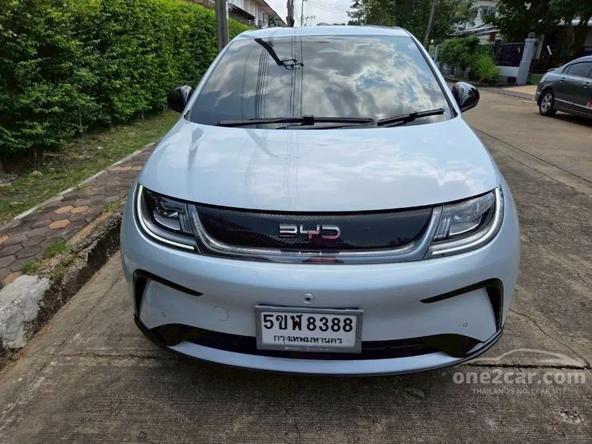 2024 BYD Dolphin Standard Range Hatchback