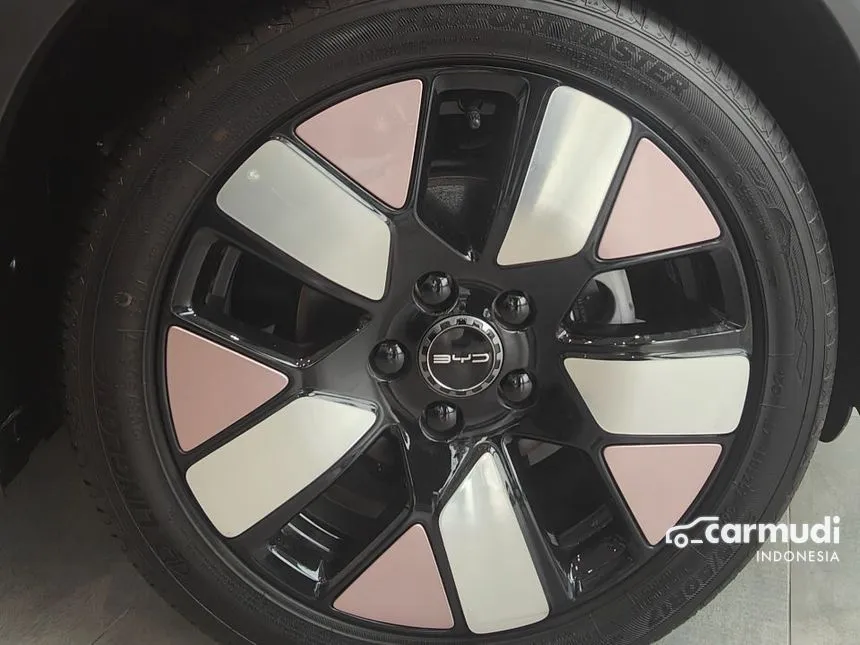 2024 BYD Dolphin Premium Extended Range Hatchback