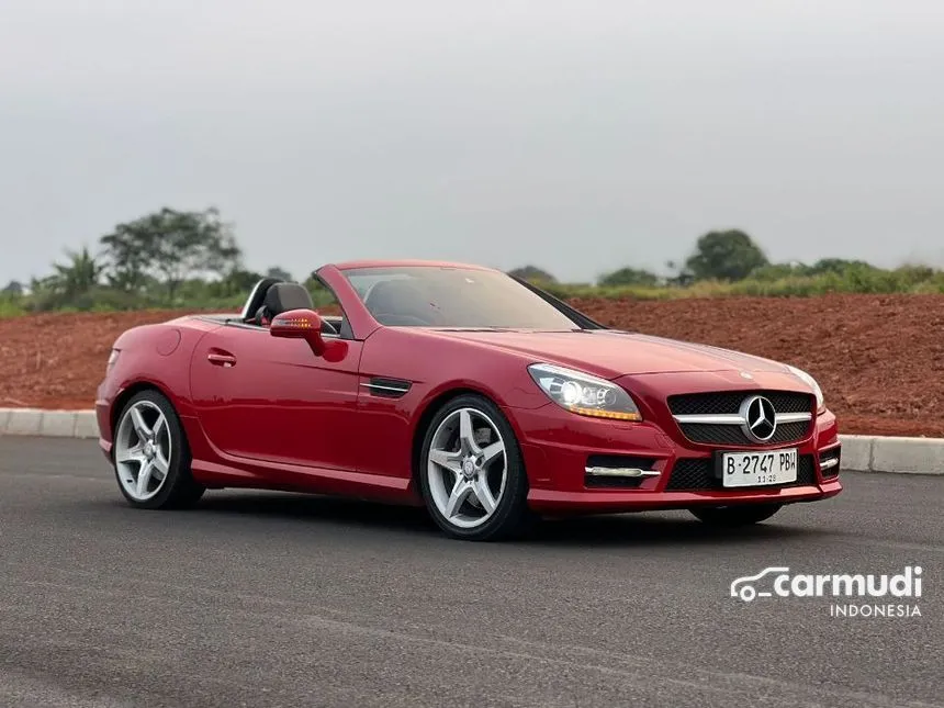 2011 Mercedes-Benz SLK250 AMG Convertible