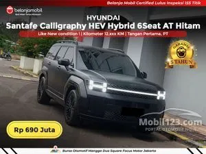 2024 Hyundai Santa Fe 2.5 Calligraphy SUV