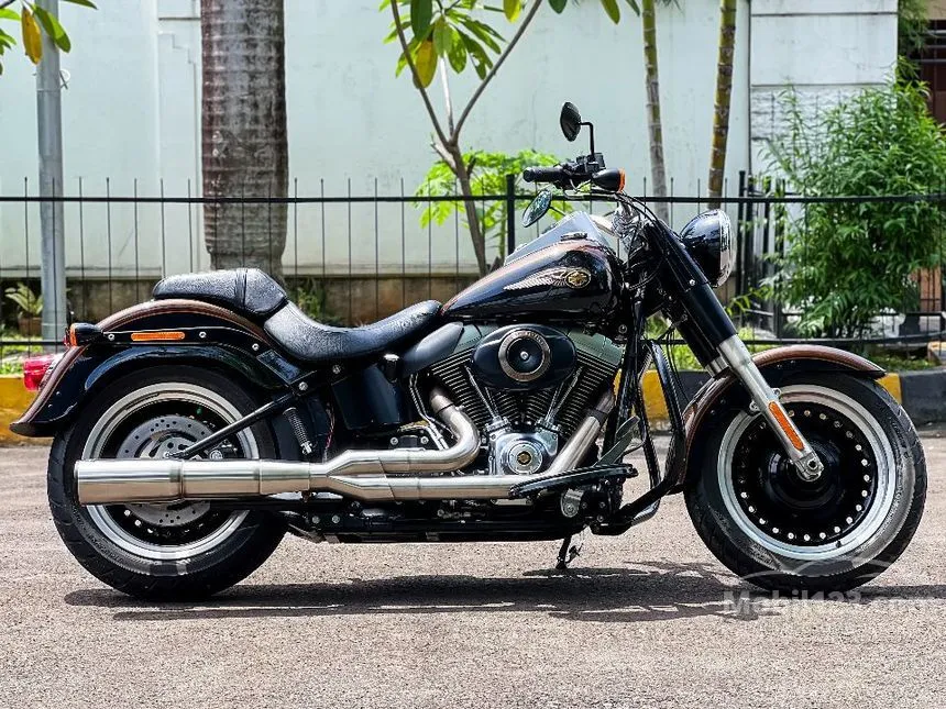 2013 Harley Davidson Softail FLS