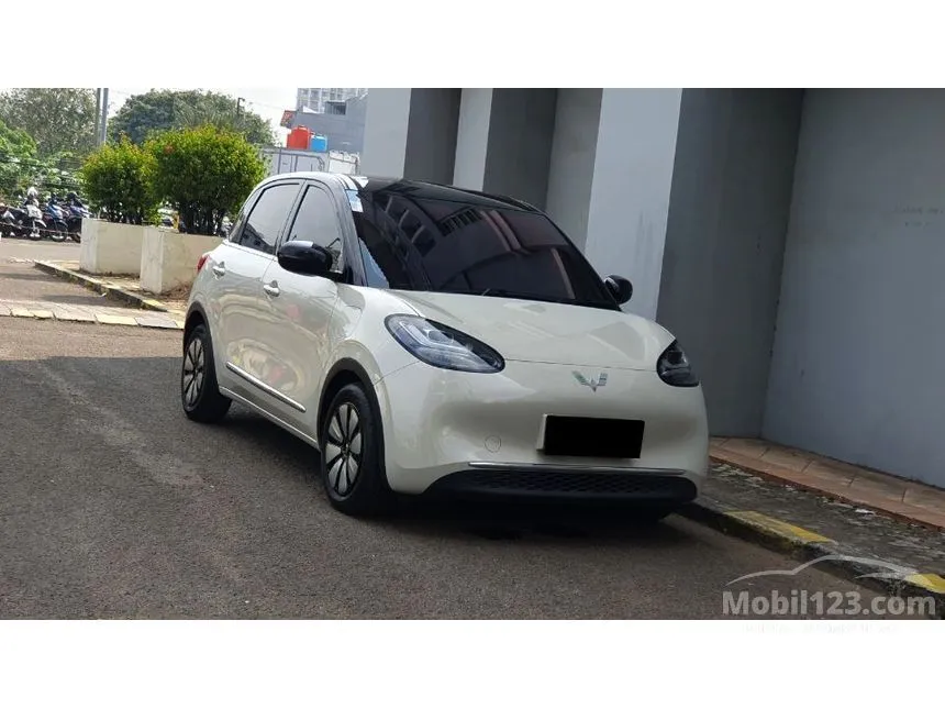2024 Wuling Binguo EV 410 Premium Range AC/DC Hatchback