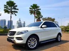 2013 Mercedes-Benz ML250 2.1 CDI SUV