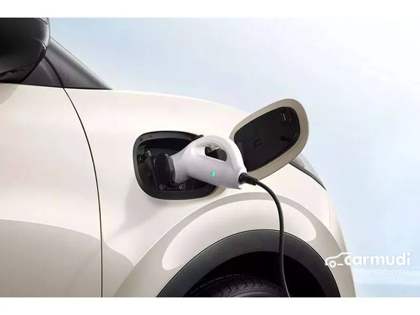 2024 Wuling Binguo EV 410 Premium Range AC/DC Hatchback