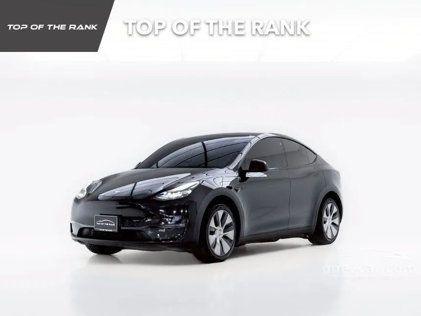 2024 TESLA Model Y Long Range SUV