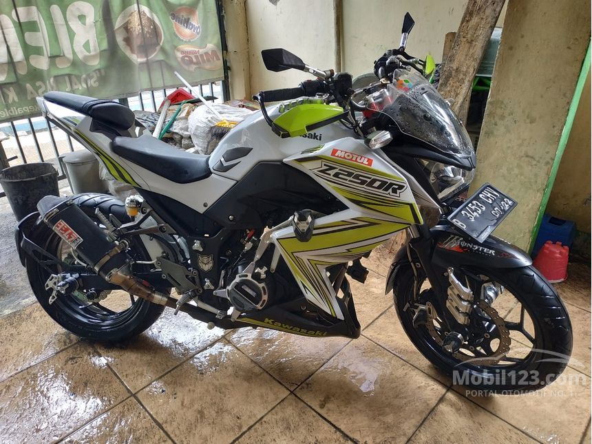 2014 Kawasaki Z250 Others