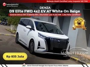 2025 Denza D9 Advanced MPV