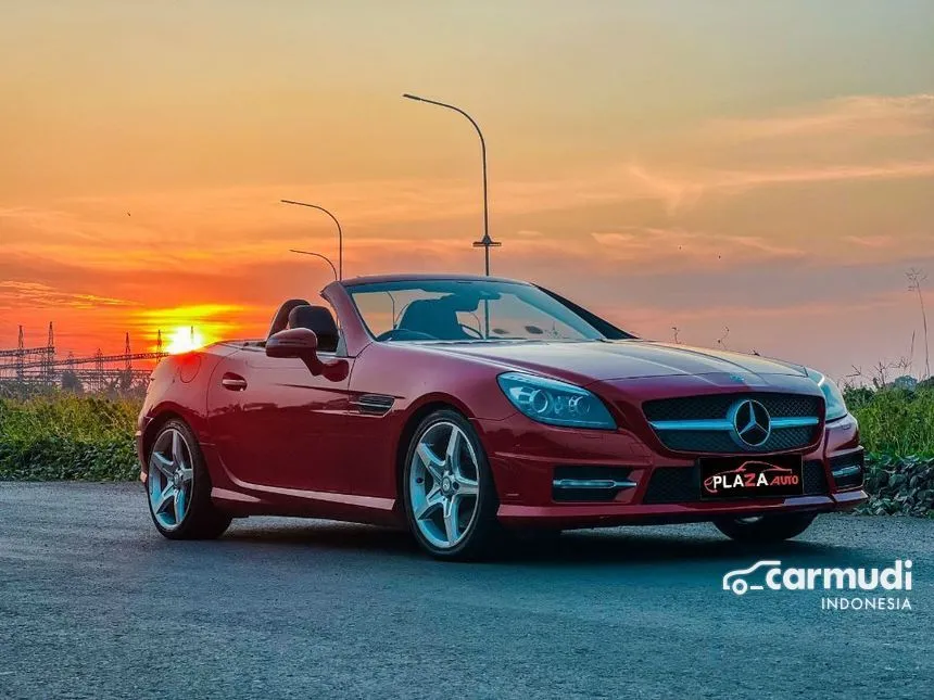 2011 Mercedes-Benz SLK250 AMG Convertible