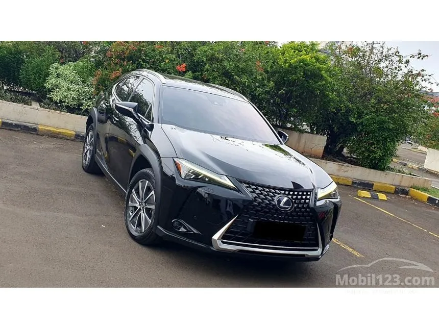 2022 Lexus UX 300e SUV
