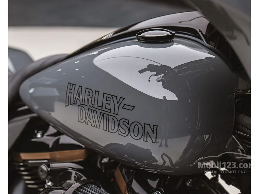 2022 Harley Davidson Street Glide ST Others